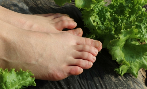 空姐王琪芳冬日蔬菜温棚清凉展示（丝裸结合） 【86P】