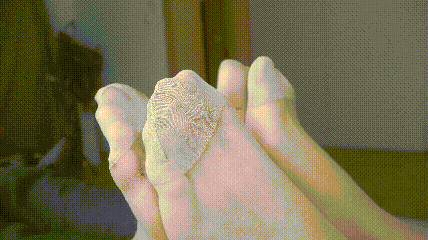 8.gif