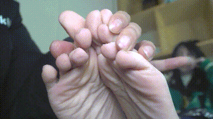 5.gif
