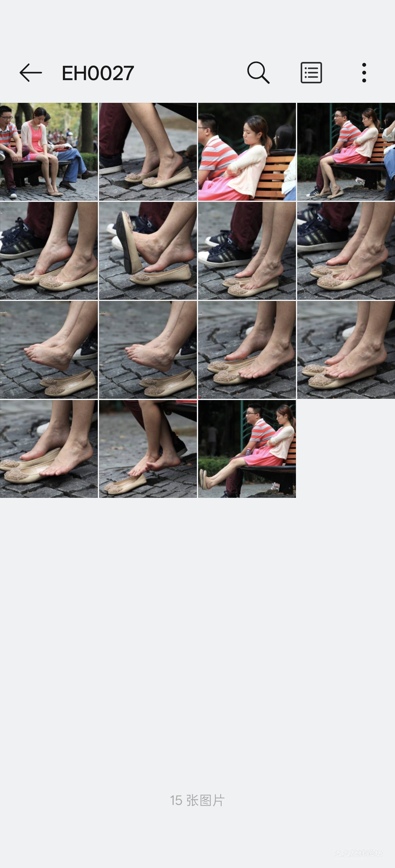 1000246384.jpg