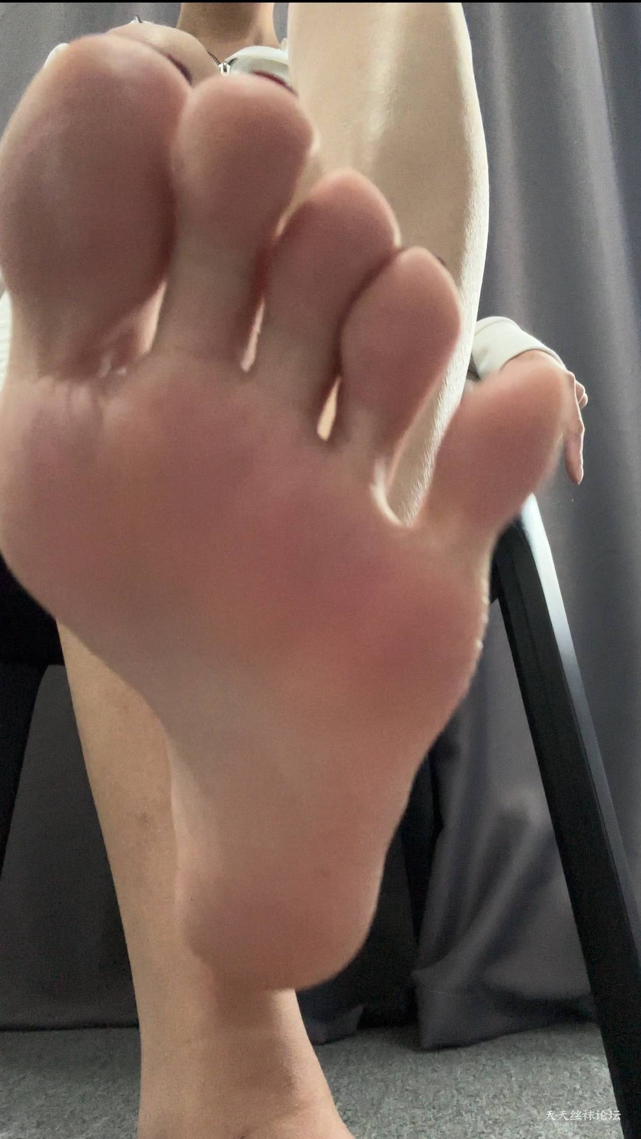 26374.jpg