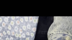 我自己开发我的宠物，名叫佳佳